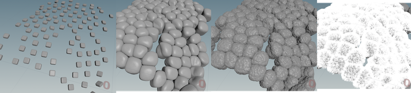 A series of images showing the process of creating the close up cell details